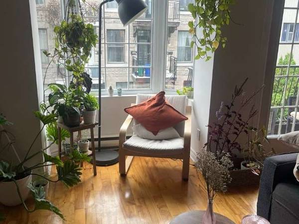 Coliving / Appartement 2 pièces de 60 m², Montréal, Rue Montcalm / Photo 8