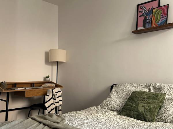 Colocation / Appartement 4 pièces de 92 m², Lille, Rue Négrier / Photo 2