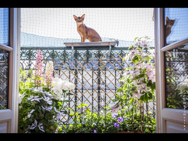 Colocation / Appartement 3 pièces de 47 m², Paris, Avenue des Gobelins / Photo 6