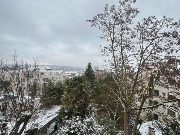 Colocation / Appartement 5 pièces de 130 m², Nancy, Boulevard Albert 1er / Photo 2