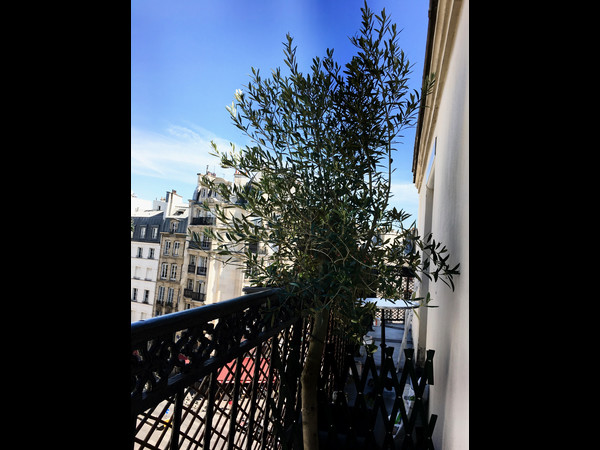 Colocation / Appartement 3 pièces de 55 m², Paris, Place Sainte-opportune / Photo 2