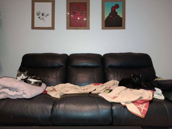 Colocation / Appartement 4 pièces de 100 m², Nantes, Boulevard François Blancho / Photo 12