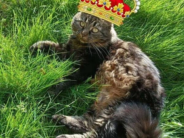 Colocation / Maison 5 pièces de 120 m², Montreuil, Avenue du Président Salvador Allende / Photo 11