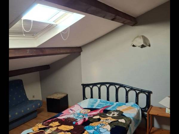 Location / Appartement 1 pièce, Albi / Photo 2