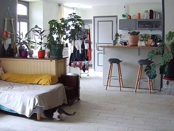 Colocation / Maison 4 pièces de 95 m², Château-Gontier-sur-Mayenne, Route de Sablé / Photo 2