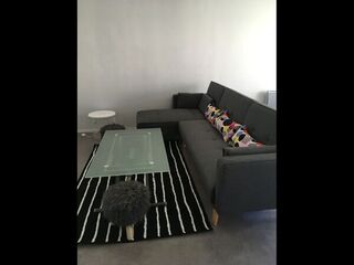 Colocation / Appartement 5 pièces de 97 m², Talence, Rue d'Alembert