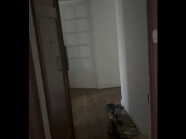 Colocation / Appartement 4 pièces de 85 m², Le Kremlin-Bicêtre, Avenue de Fontainebleau / Photo 2