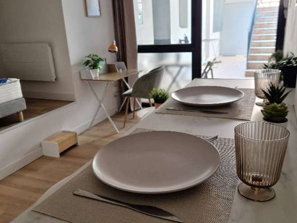 Location / Appartement 1 pièce de 21 m², Toulouse, Rue Montesquieu / Photo 6