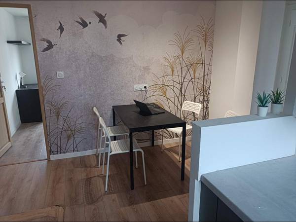 Colocation / Appartement 4 pièces de 67 m², Lyon, Avenue Francis de Pressensé / Photo 14