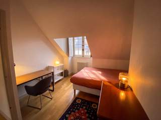 Room share, 6 rooms apartment, Orléans