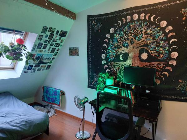 Sous-location / Duplex 4 pièces de 86 m², Paris, Cité Moynet / Photo 2