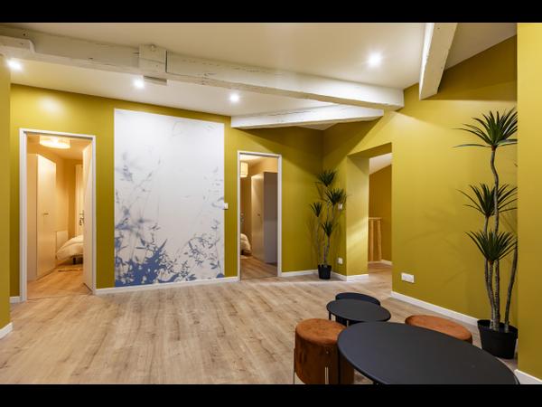 Colocation / Maison 10 pièces de 300 m², Bordeaux, Rue du Jardin Public / Photo 4