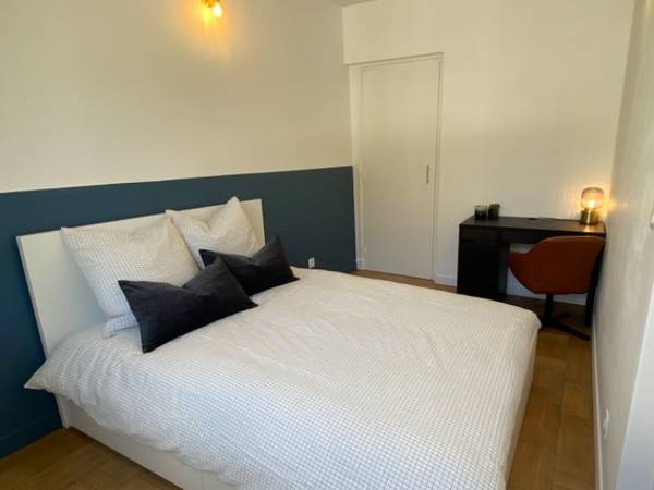 Colocation / Appartement 4 pièces de 63 m², Lyon, Rue Marietton / Photo 2