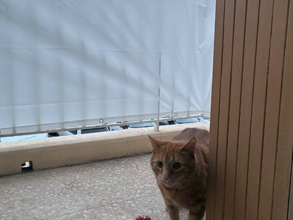 Flatsharing / 3-bedroom flat · 52 m², Marseille, Boulevard Paul Claudel / Photo 5