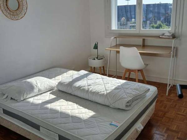 Colocation / Appartement 4 pièces de 67 m², Angers, Rue Montesquieu / Photo 4