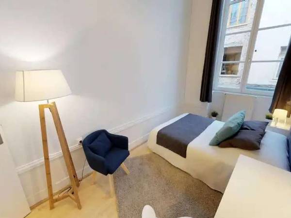 Colocation / Appartement 6 pièces de 79 m², Lyon, Rue Paul Bert / Photo 2