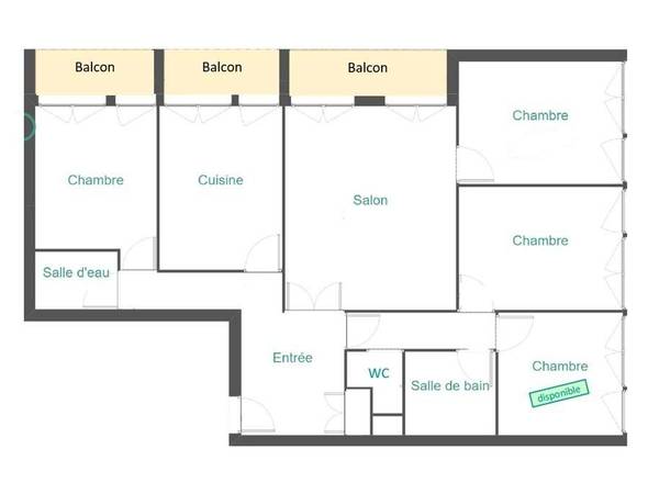 Colocation / Appartement 9 pièces de 100 m², Angers, Rue Larévellière / Photo 4