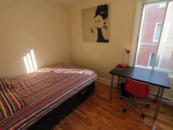 Colocation / Appartement 4 pièces de 80 m², Montréal / Photo 9