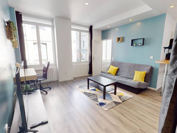 Location / Appartement 1 pièce de 30 m², Saint-Étienne, Rue Élisée Reclus / Photo 10