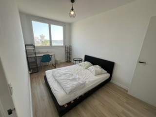 Room share, 5 rooms apartment, Tours