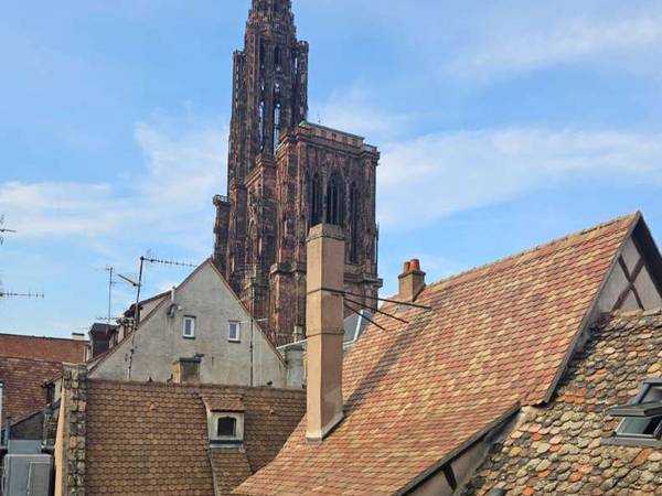 Colocation / Duplex 4 pièces de 75 m², Strasbourg, Rue du Maroquin / Photo 9