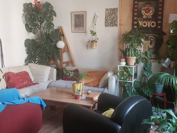 Sous-location / Maison 5 pièces de 100 m², Toulouse / Photo 2