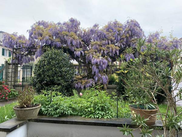 Coliving / Maison 10 pièces de 250 m², Antony, Rue Einstein / Photo 2