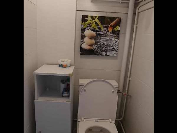 Colocation / Appartement 3 pièces de 56 m², Villeurbanne, Rue Camille Koechlin / Photo 7