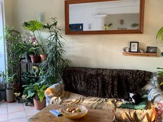 Sous-location / Maison 10 pièces de 200 m², Marseille, Avenue Philippe Matheron