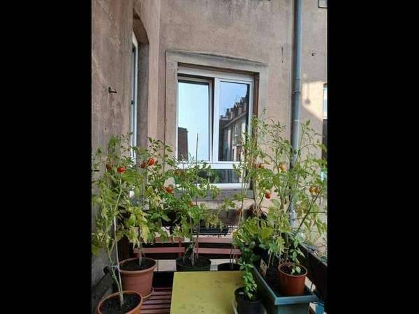 Colocation / Appartement 6 pièces de 137 m², Strasbourg, Rue Jean-Frédéric Oberlin / Photo 10