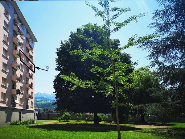 Colocation / Appartement 4 pièces de 72 m², Saint-Martin-d'Hères, Rue Sarah Bernhardt / Photo 2