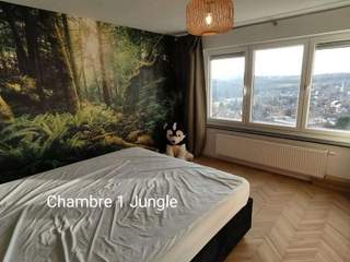 Colocation / 10 rooms house · 120 m², Ans, Rue Haut-Douy