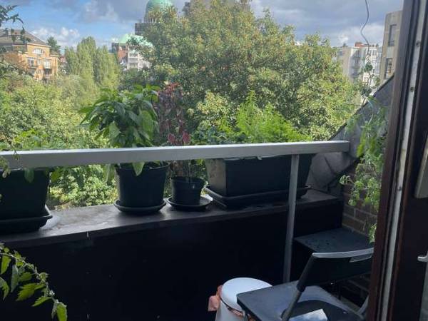 Colocation / Appartement 7 pièces de 128 m², Koekelberg, Avenue du Château / Photo 8