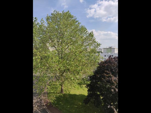 Colocation / Appartement 5 pièces de 86 m², Créteil, Rue Vincent d'Indy / Photo 22