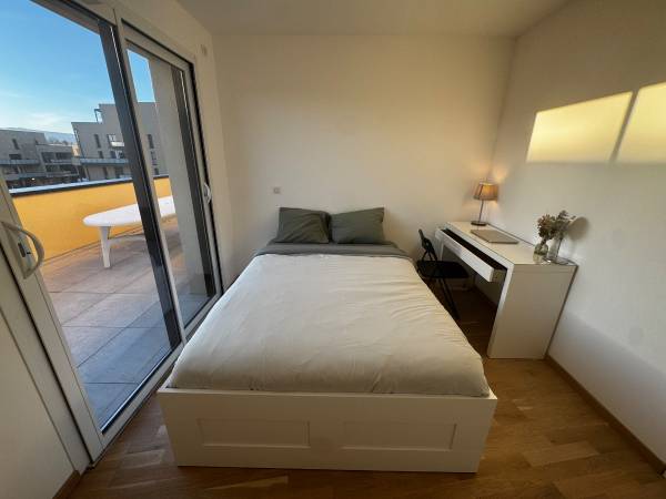 Colocation / Appartement 3 pièces de 75 m², Ferney-Voltaire, Rue Choiseul / Photo 2