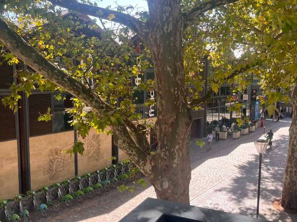 Colocation / Appartement 4 pièces de 115 m², Paris, Rue Gabriel Lamé / Photo 9