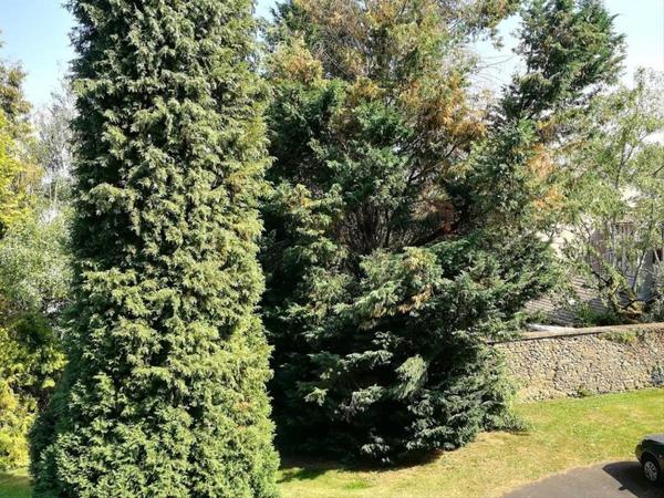 Colocation / Appartement, Limoges / Photo 4