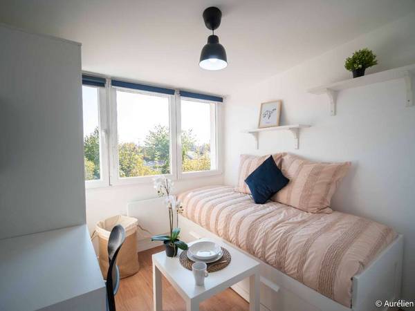Coliving / Maison 10 pièces de 270 m², Villeneuve-le-Roi, Avenue du Docteur Calmette / Photo 2