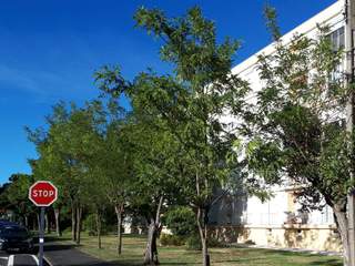 Room share / 3 rooms apartment · 60 m², Mérignac, Avenue Blaise Pascal