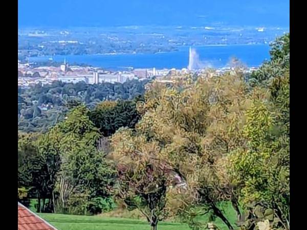 Coliving / Villa 10 pièces de 280 m², Archamps, Route des Pommeraies / Photo 11