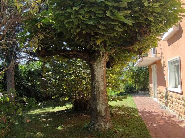 Colocation / Maison 8 pièces de 180 m², Mâcon, Rue de la Liberté / Photo 2