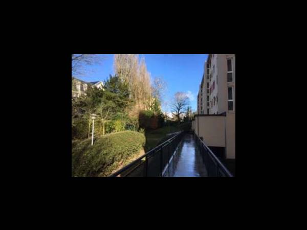 Colocation / Appartement 4 pièces de 67 m², Le Plessis-Robinson, Rue d'Aulnay / Photo 5