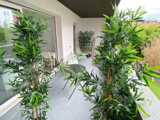 Colocation / Appartement 7 pièces de 110 m², Bordeaux, Avenue Thiers