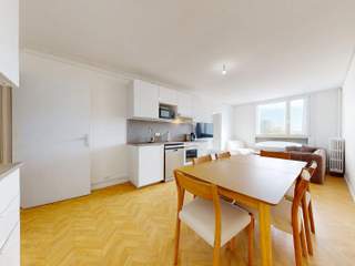 Room share, 6 rooms apartment, Lyon