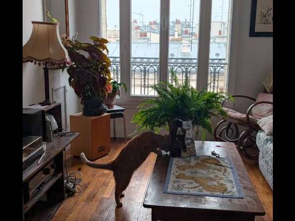Sous-location / Appartement 3 pièces de 68 m², Paris, Rue Petit / Photo 2