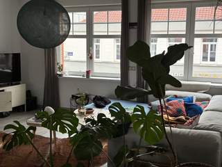 Sublet / 3-bedroom flat · 104 m², Lille, Rue Léon Gambetta (Lille)