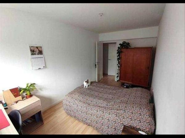 Chambre chez l'habitant / Appartement 3 pièces de 63 m², Nantes, Place Clémence Lefeuvre / Photo 6