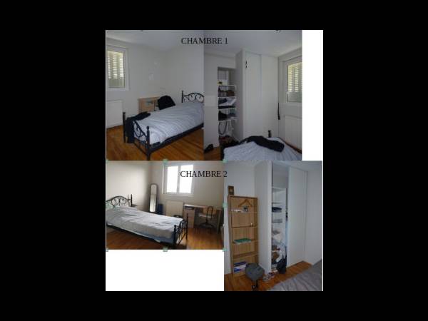Colocation / Appartement 4 pièces de 50 m², Saint-Étienne / Photo 3