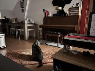 Colocation, Appartement 1 pièce, Meudon