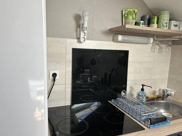 Colocation / Appartement 1 pièce de 55 m², Meudon, Avenue Marcellin Berthelot / Photo 11